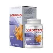 Cordyceps pulse hearing