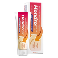 Hondroten